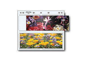 Print File 310-4P Print Preservers (25 Pack)