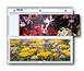 Print File 310-4P Print Preservers (25 Pack)