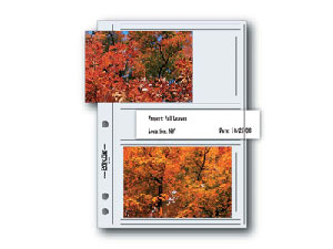 Print File 35-4M 3-1/2x5 Print Preservers (25 Pages)