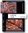 Print File 35-4M-BLK 3-1/2x5 Print Preservers (25 Pages)