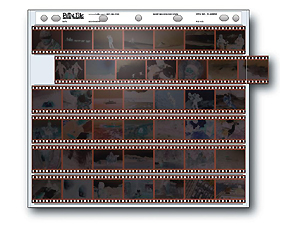 Print File 35-6HBXW 35mm Negative Preservers (100 Pack)