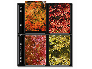 Print File 35-8S-BLK 3-1/2x5 Print Preservers (25 Pages)
