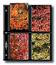 Print File 35-8S-BLK 3-1/2x5 Print Preservers (25 Pages)