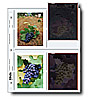 Print File 45-4HB-POL Negative Preservers (100 Pack)