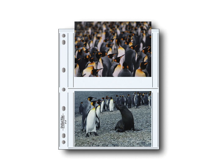 Print File 57-4P Print Preservers (25 Pack)