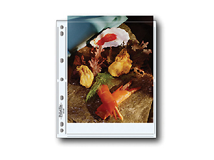 Print File 810-2P Print Preservers