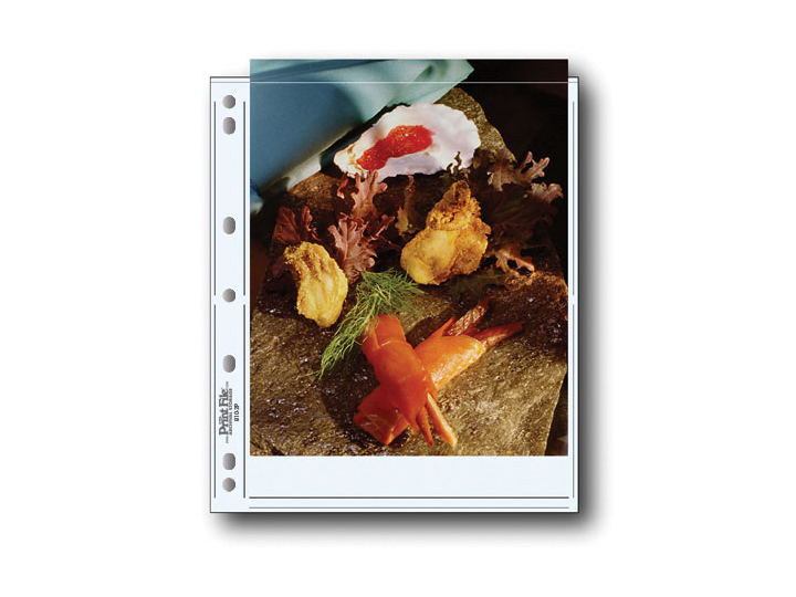 Print File 810-2P Print Preservers (25 Pack)