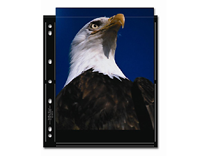 Print File 810-2S-BLK 8x10 Print Preservers (25 Pages)