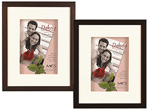 MCS 11x14 Dakota Shadow Box Frame