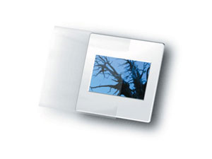 Print File 35mm Slide Sleeves (100 Pack)