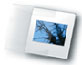 Print File 35mm Slide Sleeves (100 Pack)