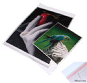 Print File 13x19 Re-Sealable Photo / Art Bags (100 Pack)