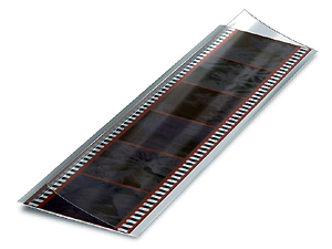 Print File FF35 Foldflap 35mm 6-Frame Sleeves (50 Pack)