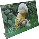 Bent Acrylic Frame 8x12 Single Horizontal