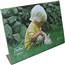 Bent Acrylic Frame 8x12 Single Horizontal