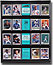 MCS Collector Card Display Case 16x20 Black