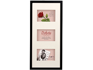 MCS 9x20 Dakota Shadow Box Frame - Three 4x6 Openings
