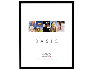 MCS 11x17 East Village Frame