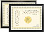 MCS Economy Document Frame 8.5x11