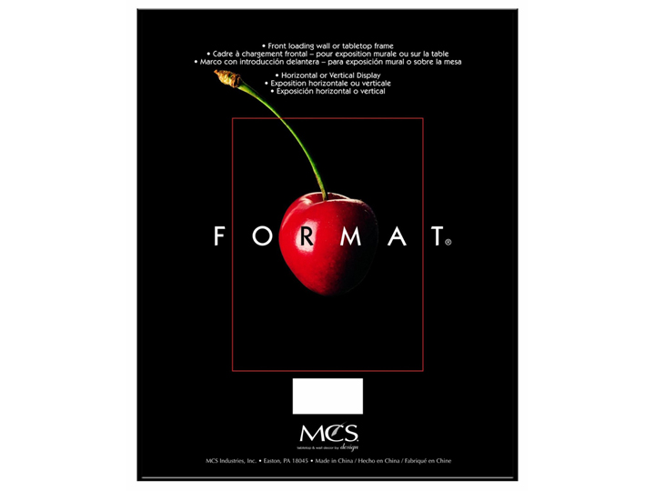 MCS Format Frame 16x20 - Black