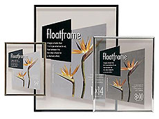 MCS Original Floating Frames