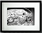 MCS 6x8 Shadow Box Frame - One 4x6 Opening