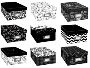 Pioneer B1-BW Photo Storage Box - Black & White