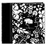 Pioneer MB-10CBFBW Fabric Frame Memory Book - B&W