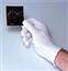 Print File Nylon Lab Gloves - Small/Medium