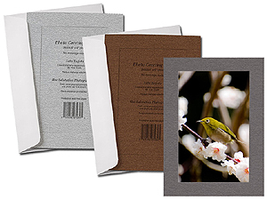Metallic Lustre Simplicity Photo Greeting Cards (10 Pack)