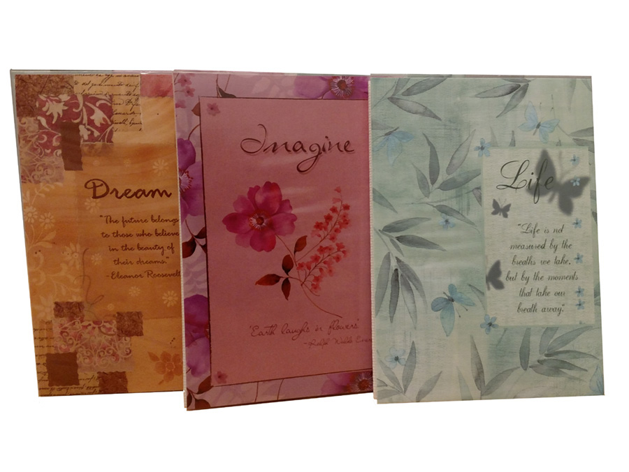 MBI Flex Removable Cover 4x6 Album (24 Pocket)